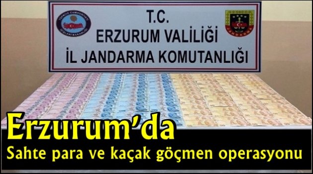 Erzurum'da sahte para ve kaçak göçmen operasyonu