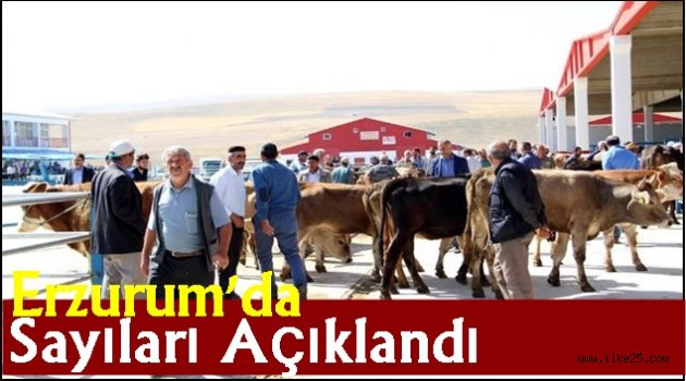 Erzurum'da Sayılar Açıklandı