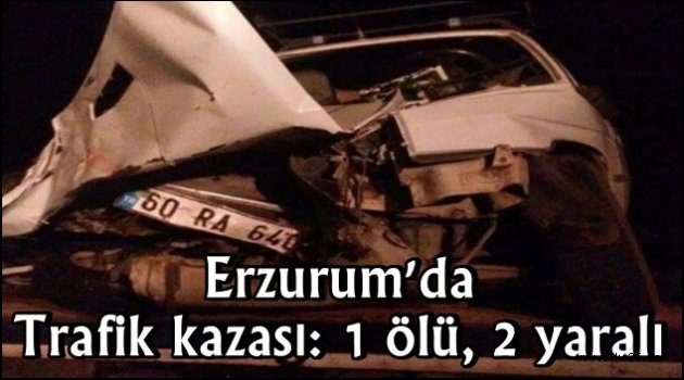 Erzurum'da  trafik kazası: 1 ölü, 2 yaralı