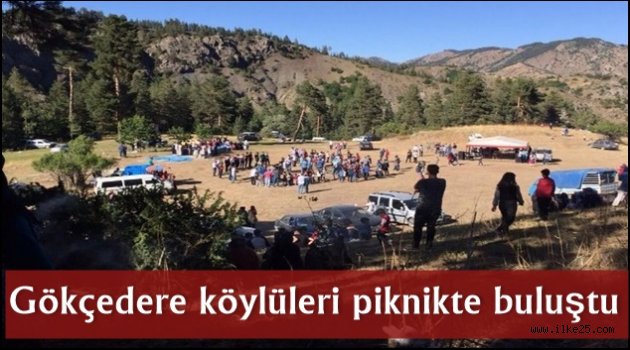 Gökçedere köylüleri piknikte buluştu