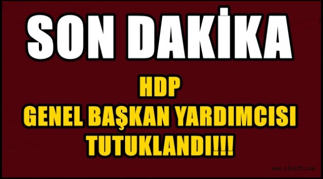 HDP Genel Başkan Yardımcısı tutuklandı