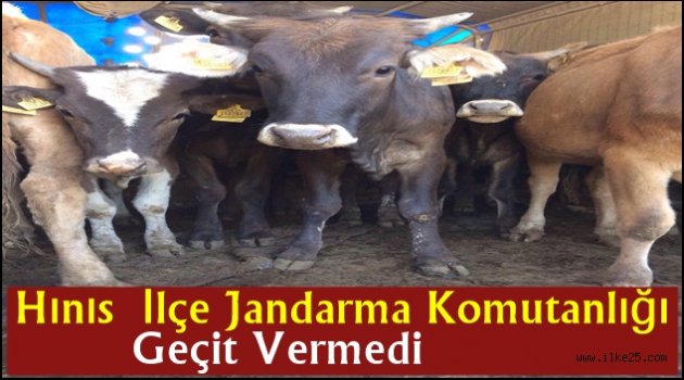 Hınıs  İlçe Jandarma Komutanlığı Geçit Vermedi