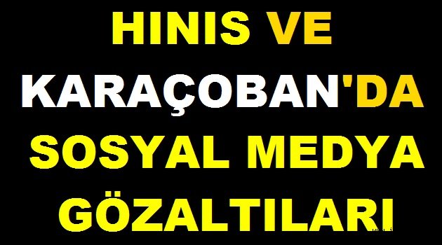 Hınıs Ve Karaçoban'da Sosyal Medya Gözaltıları