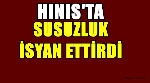 Hınıs'ta Susuzluk İsyan Ettiriyor