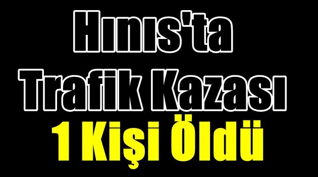 Hınıs'ta Trafik Kazası:1 Kişi Öldü