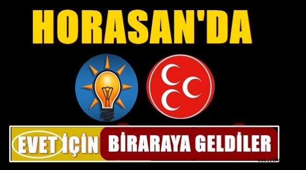 Horasan'da EVET İçin Bir Araya Geldiler