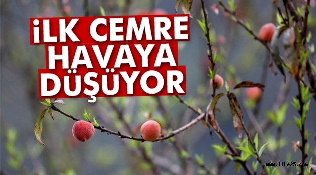 İlk cemre havaya düşüyor!