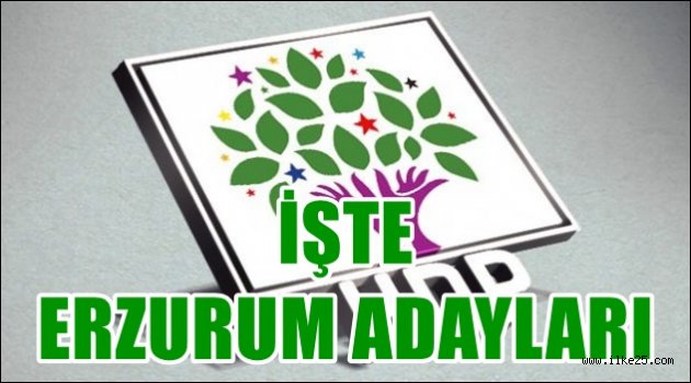 İşte HDP'nin Erzurum Adayları