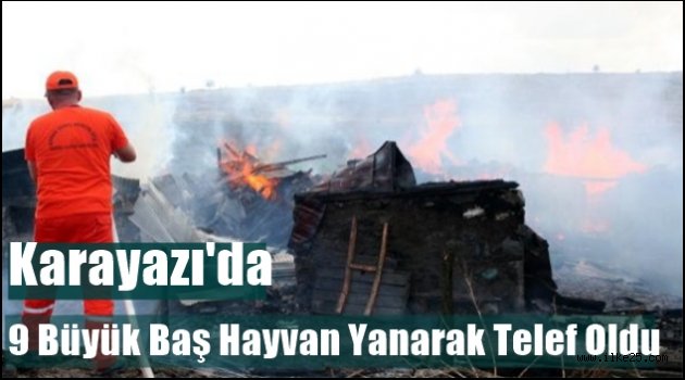 Karayazı'da 9 Büyük Baş Hayvan Yanarak Telef Oldu