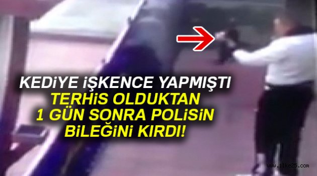 Kediye işkence yapan asker bu kez de polisin bileğini kırdı