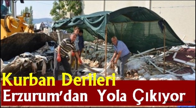 Kurban Derileri Erzurum'dan Yola Çıkıyor