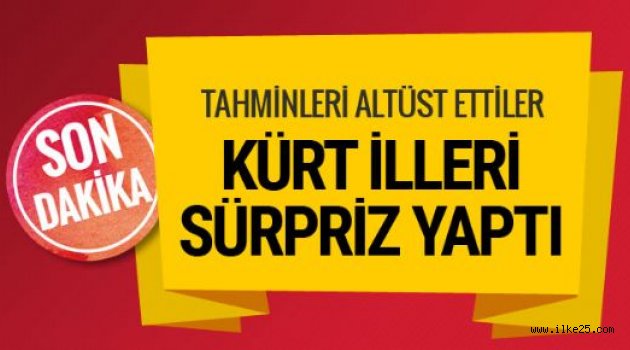 Kürt nüfusun yoğun olduğu illerde referandum sonuçları