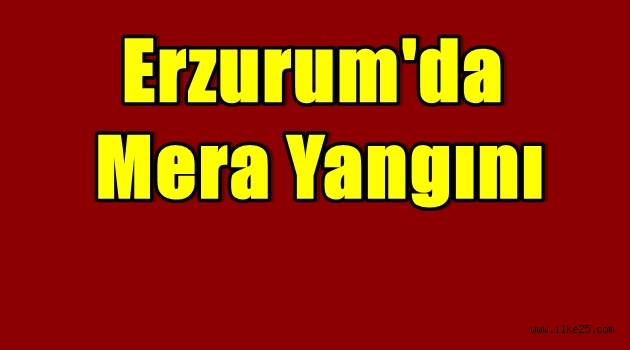 Erzurum'da Mera Yangını