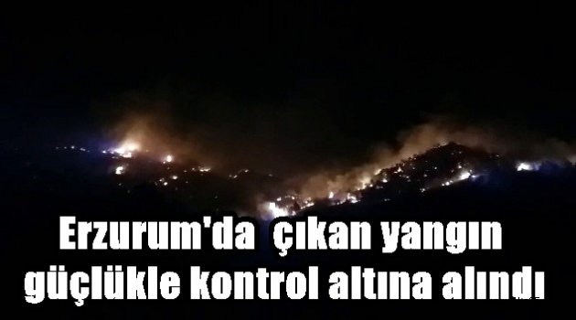 Erzurum'da ormanda çıkan yangın güçlükle kontrol altına alındı