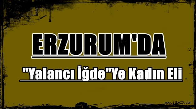 Erzurum'da 'Yalancı İğde'Ye Kadın Eli