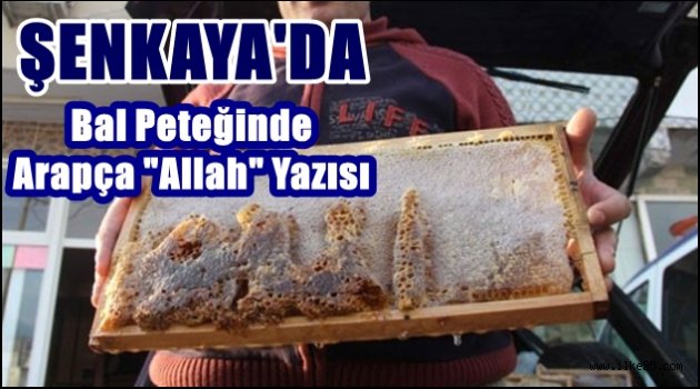 Şenkaya'da Bal Peteğinde Arapça "Allah" Yazısı