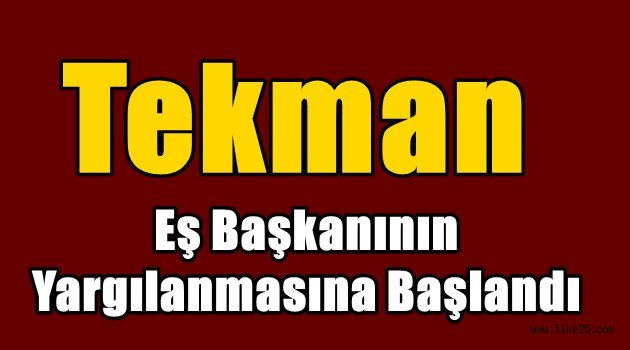 Tekman Eş Başkanının Yargılanmasına Başlandı