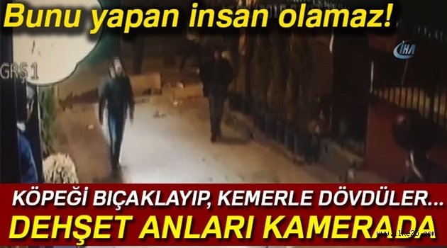 Magandalar köpeği bıçaklayıp, kemerle dövdüler...