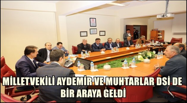 MİLLETVEKİLİ AYDEMİR VE MUHTARLAR DSİ DE BİR ARAYA GELDİ