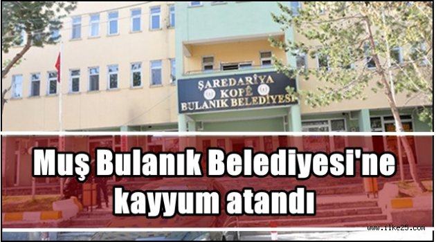 Muş Bulanık Belediyesi'ne kayyum atandı