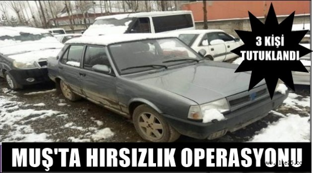 Muş'ta hırsızlık operasyonu: 3 tutuklama