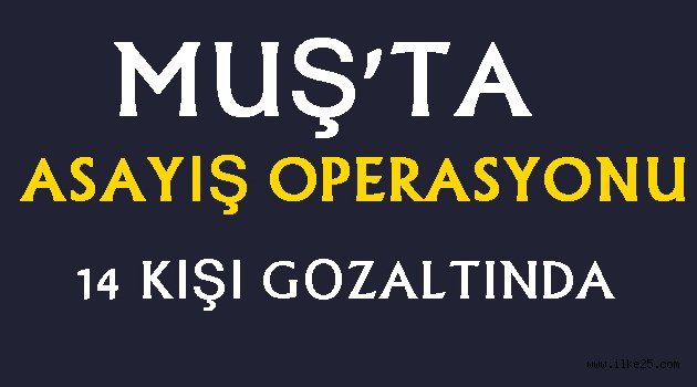 Muş'ta asayiş operasyonu