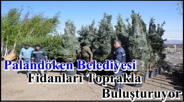 Palandöken'de Binlerce Fidan Toprakla Buluşuyor