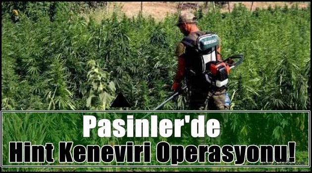 Pasinler'de Hint Keneviri Operasyonu!!