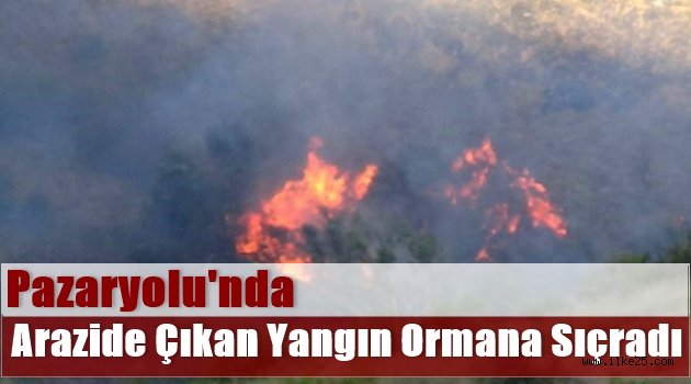 Pazaryolu'nda Arazide Çıkan Yangın Ormana Sıçradı