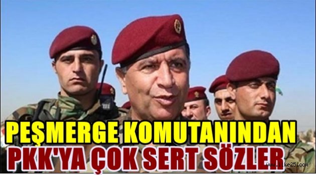 Peşmerge Komutanından PKK'ya Sert  Sözler