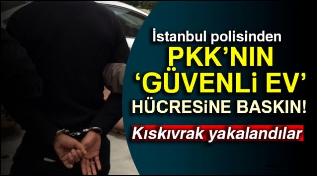 PKK'nın 'güvenli ev' hücresine baskın