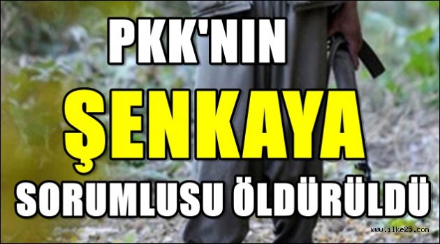 PKK'nın sözde Şenkaya sorumlusu öldürüldü