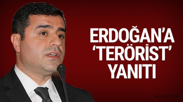 Selahattin Demirtaş'tan Erdoğan'a 'terörist' yanıtı
