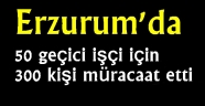 50 geçici işçi için 300 kişi müracaat etti