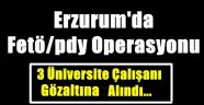 Erzurum'da Fetö/pdy Operasyonu.3 Kişi Gözaltına Alındı