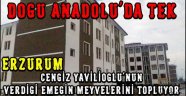 Erzurum, Cengiz YAVİLİOĞLU'nun Verdiği Emeğin Meyvelerini Topluyor