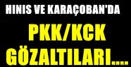 Hınıs Ve Karaçoban'da Terör Gözaltıları...