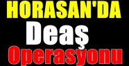 Horasan'da Deaş Operasyonu