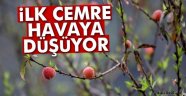 İlk cemre havaya düşüyor!