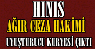 Hınıs'ta Görev Yapan Hakim Uyuşturucu Kuryesi Çıktı