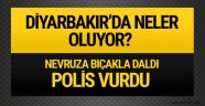 2017 Nevruz kutlamaları Diyarbakır'da neler oluyor?