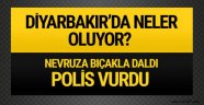 2017 Nevruz kutlamaları Diyarbakır'da neler oluyor?