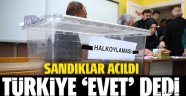 Referandum sonuçları 2017