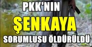 PKK'nın sözde Şenkaya sorumlusu öldürüldü