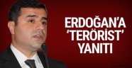 Selahattin Demirtaş'tan Erdoğan'a 'terörist' yanıtı