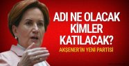 Meral Akşener'in partisiyle ilgili yeni bilgiler var