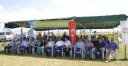 Rulo Balya Silajı İçin Aziziye'de 'Tarla Günü' Düzenlendi