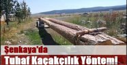 Şenkaya'da Tuhaf  Kaçakçılık Yöntemi