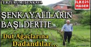 Şenkayalıların Başı Dertte!!!