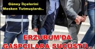 Erzurum'da Gaspçılara Suçüstü..